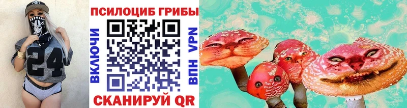 Псилоцибиновые грибы мицелий  Гулькевичи 