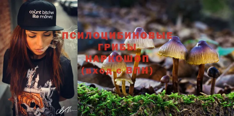 Псилоцибиновые грибы Magic Shrooms  продажа наркотиков  Гулькевичи 