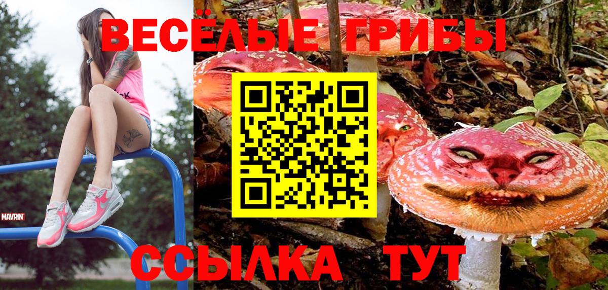 Гулькевичи  Галлюциногенные грибы MAGIC MUSHROOMS  Галлюциногенные грибы мухоморы  купить   Вход с VPN 
