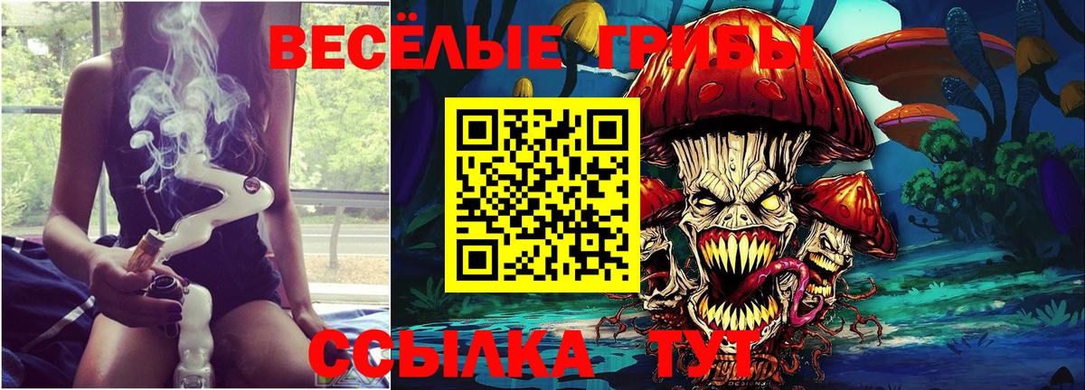 Галлюциногенные грибы Magic Shrooms  Галлюциногенные грибы Psilocybe  Гулькевичи 