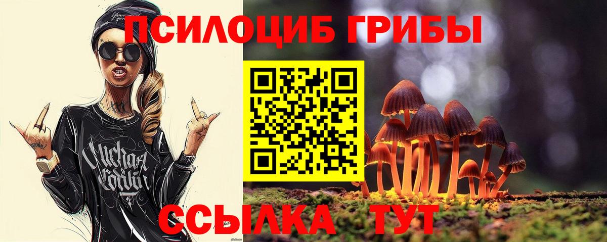 Псилоцибиновые грибы GOLDEN TEACHER Гулькевичи